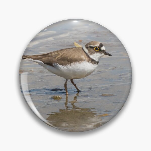 Item preview, Little Ringed Plover designed and sold by LaurenTucker.