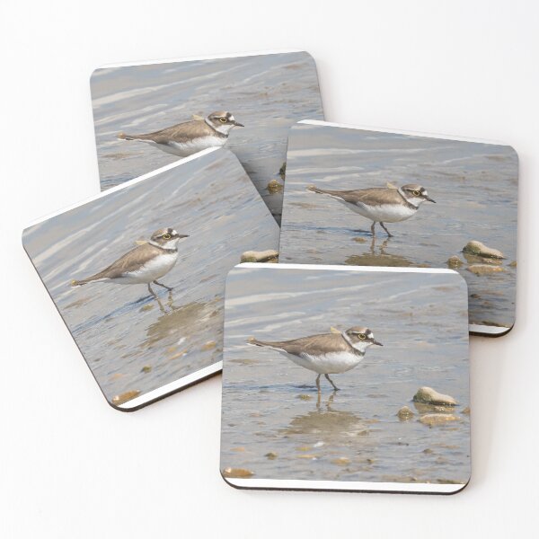 Item preview, Little Ringed Plover designed and sold by LaurenTucker.