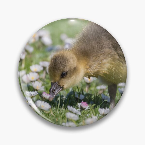 Item preview, Greylag Goose  designed and sold by LaurenTucker.
