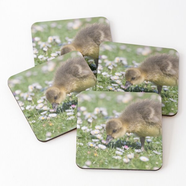 Item preview, Greylag Goose  designed and sold by LaurenTucker.