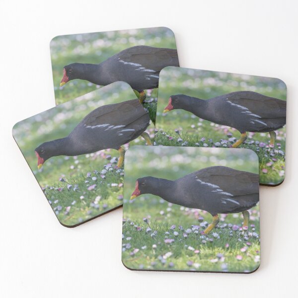 Item preview, Moorhen designed and sold by LaurenTucker.