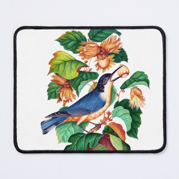 Item preview, nuthatch bird designed and sold by FeatheredClub.