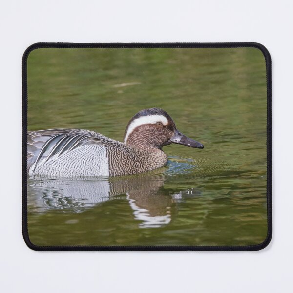 Item preview, Garganey designed and sold by LaurenTucker.