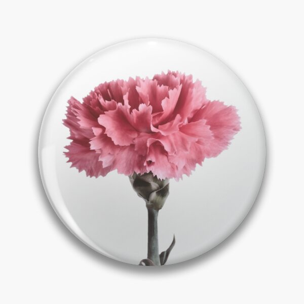 Item preview, Pink carnation designed and sold by Sara Sadler.
