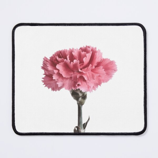 Item preview, Pink carnation designed and sold by Sara Sadler.