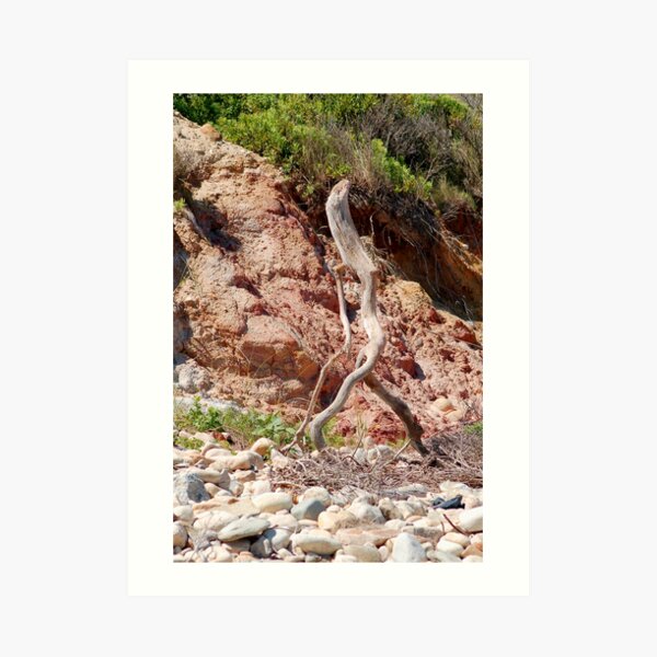 Walking Stick Art Print