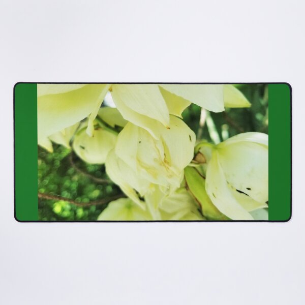 Item preview, Yucca Flowers designed and sold by MooseDogPhotos.