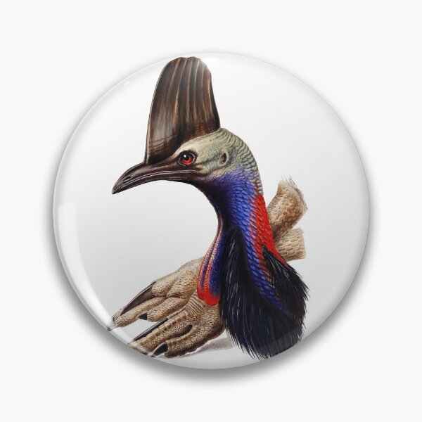 Item preview, Australian Cassowary  designed and sold by FeatheredClub.