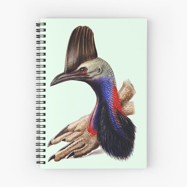 Item preview, Australian Cassowary  designed and sold by FeatheredClub.