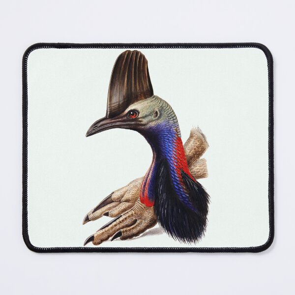 Item preview, Australian Cassowary  designed and sold by FeatheredClub.