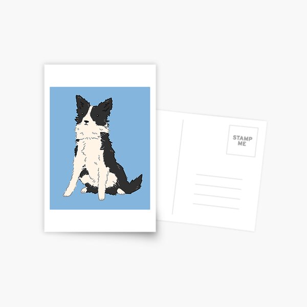Border Collie Postcard