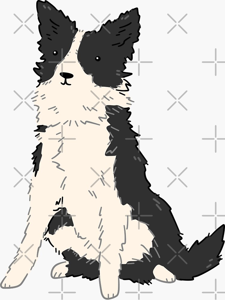 Border Collie by SaradaBoru
