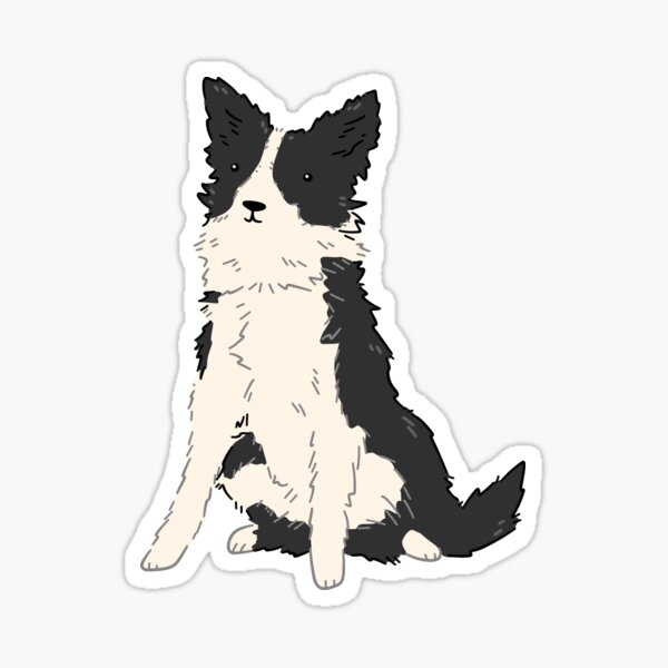 Border Collie Sticker