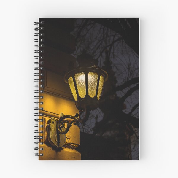 Item preview, Lamp designed and sold by Dzenan-.