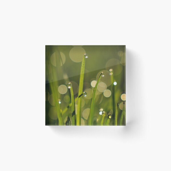 Item preview, Morning Grass designed and sold by inlightimagery.