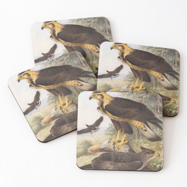 Item preview, Solitary Harpyhaliaetus solitaries) Crowned Harpies (Harpyhaliaėtus coronatus) designed and sold by linggalibrary.