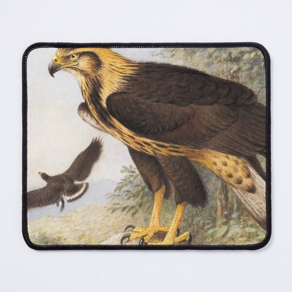 Item preview, Solitary Harpyhaliaetus solitaries) Crowned Harpies (Harpyhaliaėtus coronatus) designed and sold by linggalibrary.