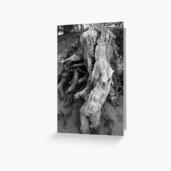 History #1 Greeting Card