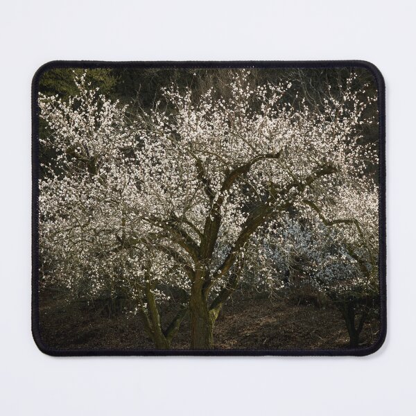 Item preview, Full Bloom designed and sold by Walter Quirtmair.