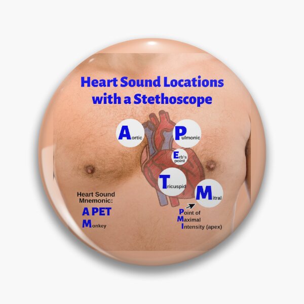 Item preview, Heart Sound Locations with a Stethoscope designed and sold by Caregiverology.