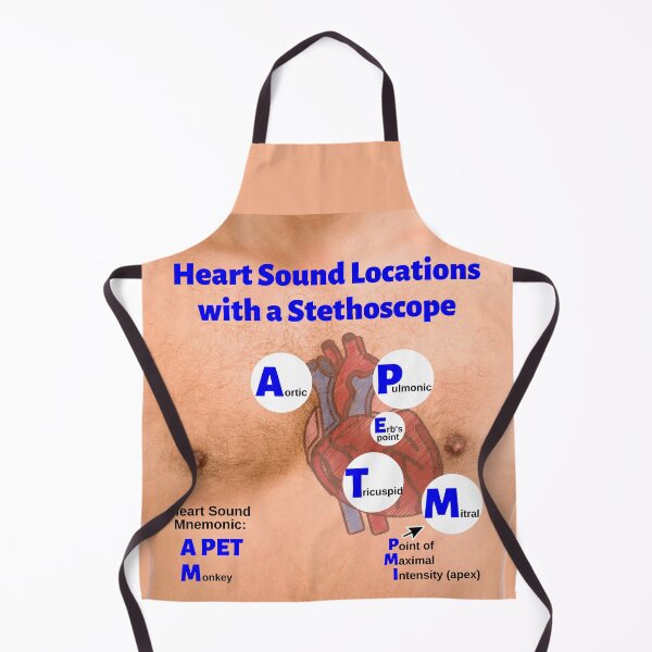 Item preview, Heart Sound Locations with a Stethoscope designed and sold by Caregiverology.