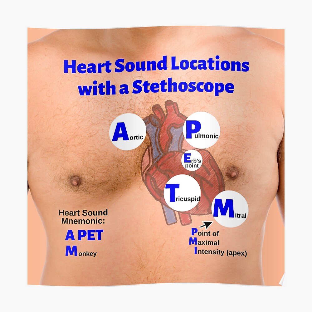 Heart Sounds Ubicaciondepersonas cdmx gob mx