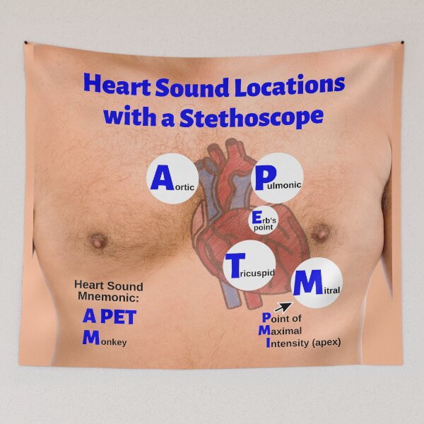 Item preview, Heart Sound Locations with a Stethoscope designed and sold by Caregiverology.