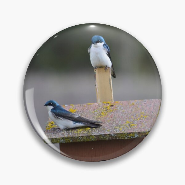 Item preview, Tree Swallow Couple designed and sold by The-PNW-Birder.