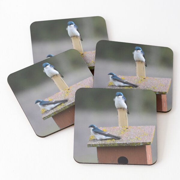 Item preview, Tree Swallow Couple designed and sold by The-PNW-Birder.