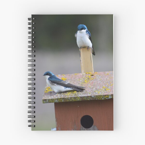 Item preview, Tree Swallow Couple designed and sold by The-PNW-Birder.