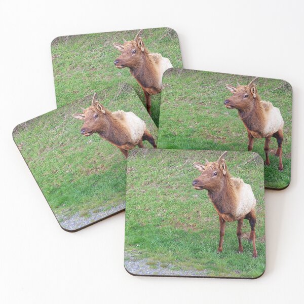Item preview, curious young buck designed and sold by rainingcrow.