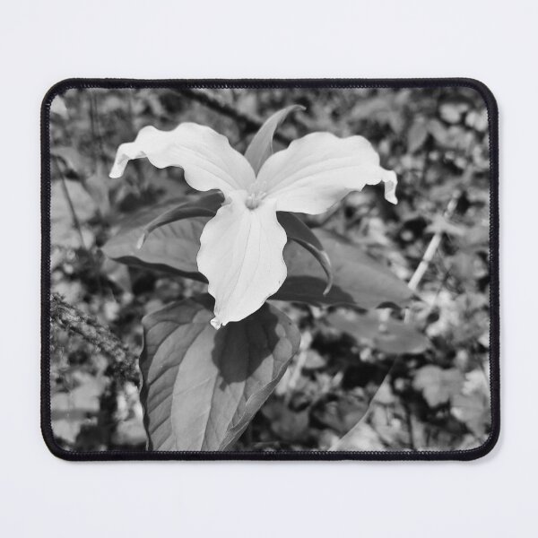 Item preview, white trillium designed and sold by rainingcrow.