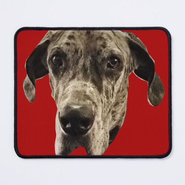 Item preview, Here's Lookin' At You! designed and sold by MooseDogPhotos.