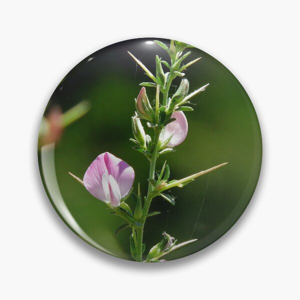 Item preview, Naturel  designed and sold by orhanyky.