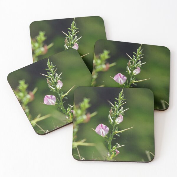 Item preview, Naturel  designed and sold by orhanyky.