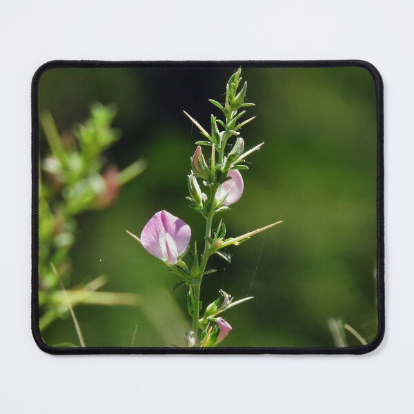Item preview, Naturel  designed and sold by orhanyky.