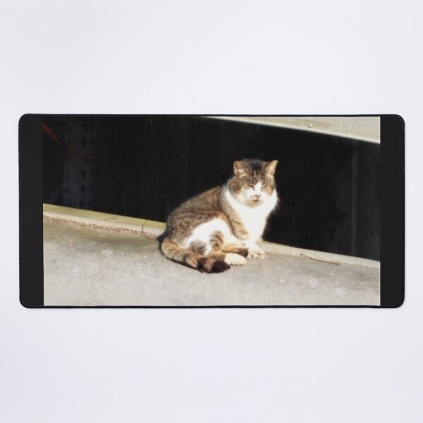 Item preview, Happy Sunshine Canoe Cat designed and sold by MooseDogPhotos.