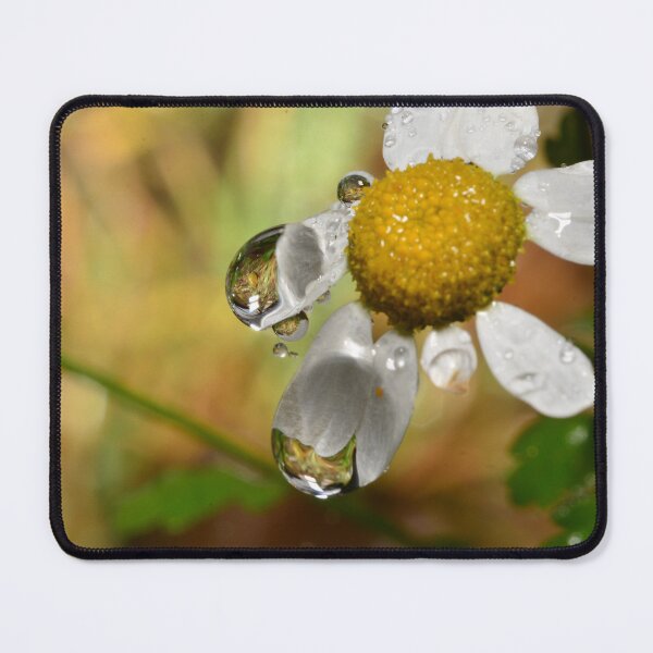 Item preview, Papatya designed and sold by orhanyky.