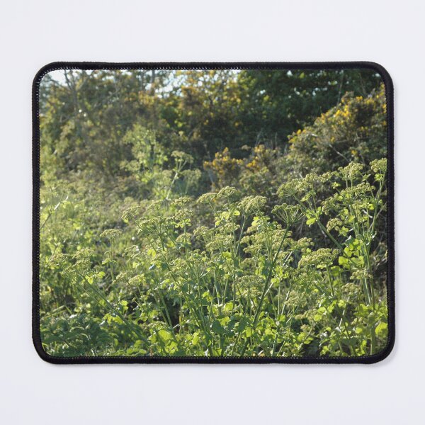 Item preview, Wild verge designed and sold by Photos-by-Eddie.