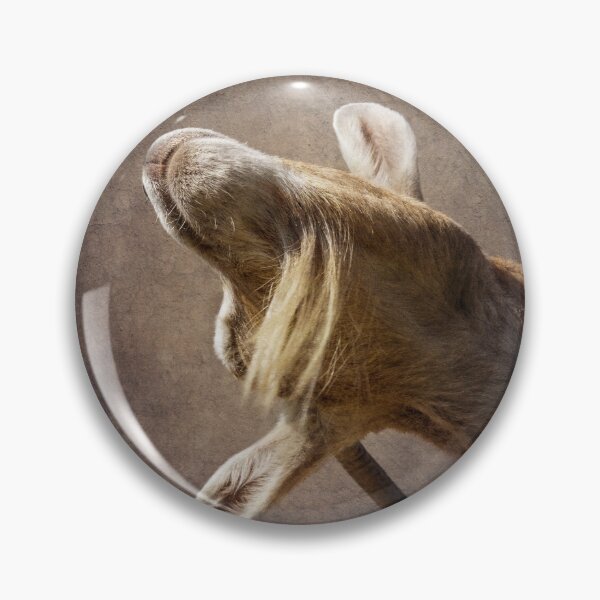 Item preview, Scratch that itch designed and sold by WesternExposure.