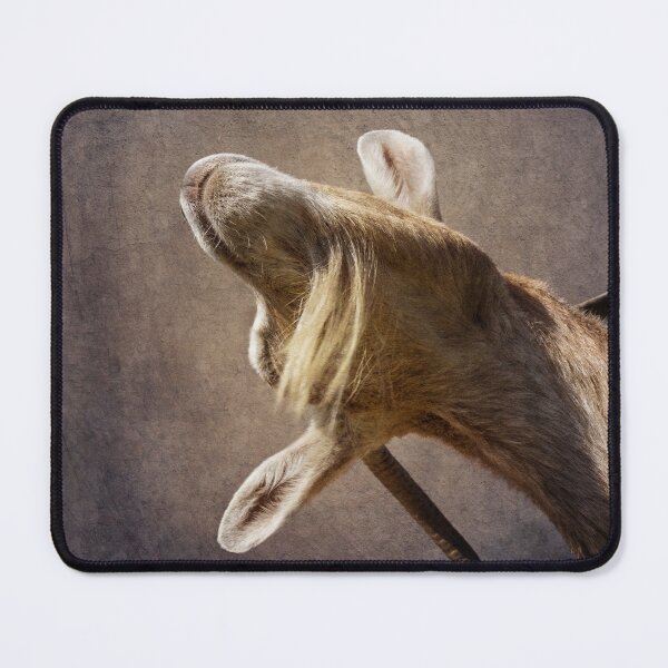 Item preview, Scratch that itch designed and sold by WesternExposure.