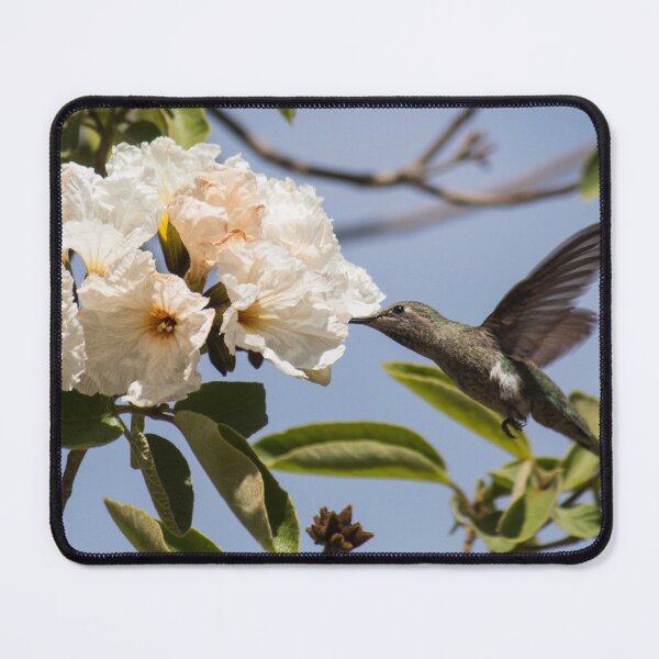 Item preview, Pollinating designed and sold by Jacquelie.