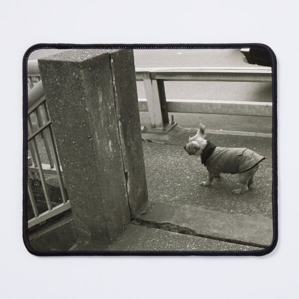 Item preview, Dog in a Raincoat designed and sold by Lostlogo.