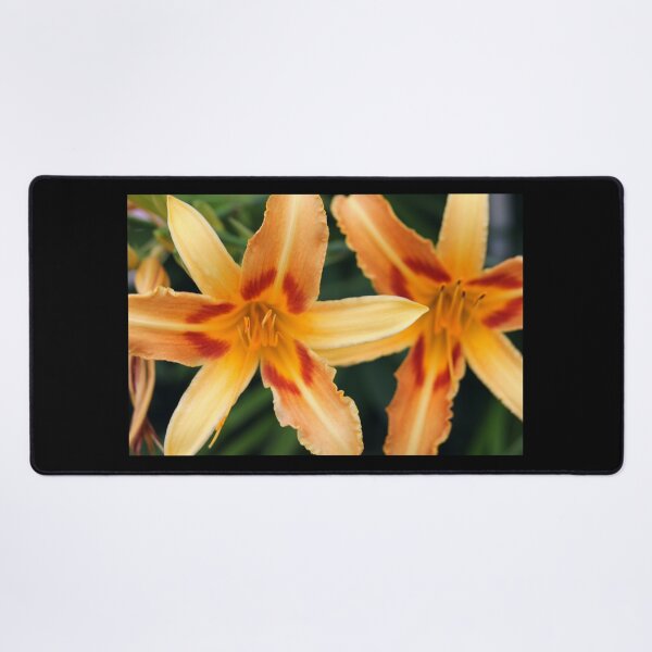 Item preview, Tiger Lily Flower designed and sold by CapeCodGiftShop.