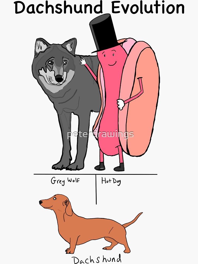 "Dachshund Evolution Grey Wolf and Hot Dog" Sticker by peterdrawings