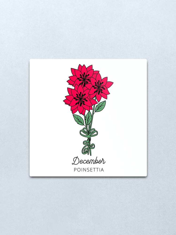 Lámina metálica «Flor del mes de nacimiento de diciembre (flor de nochebuena)» de customsbykate | Redbubble Lámina metálica «Flor del mes de nacimiento de diciembre (flor de nochebuena)» de customsbykate | Redbubble