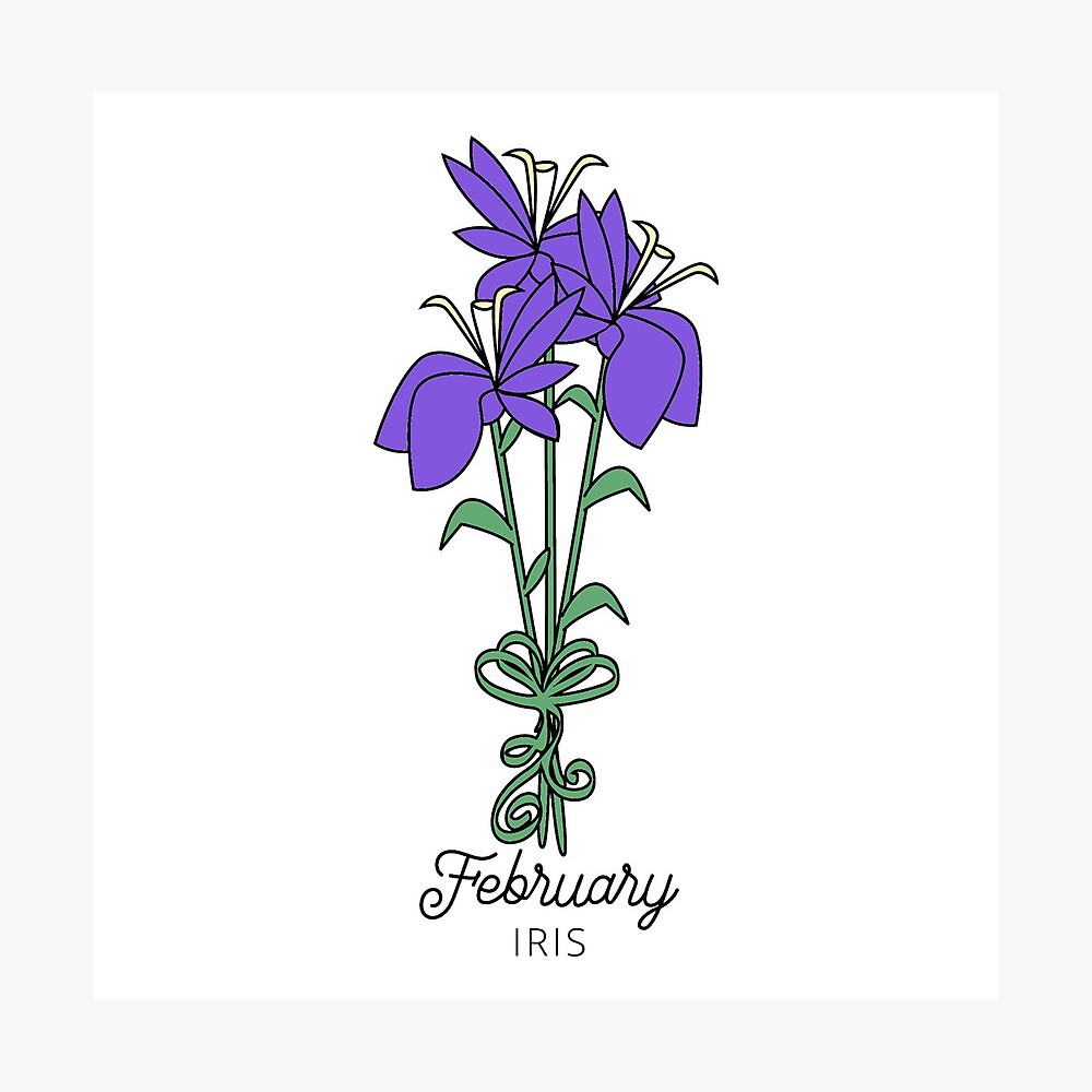 7- July birth flower with white canvas background - Shop @ Terminations  Remembered