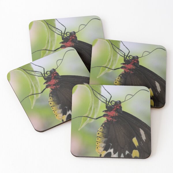 Item preview, Butterfly Beauty designed and sold by Jacquelie.