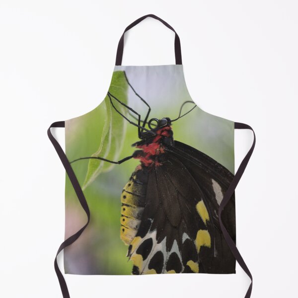 Item preview, Butterfly Beauty designed and sold by Jacquelie.