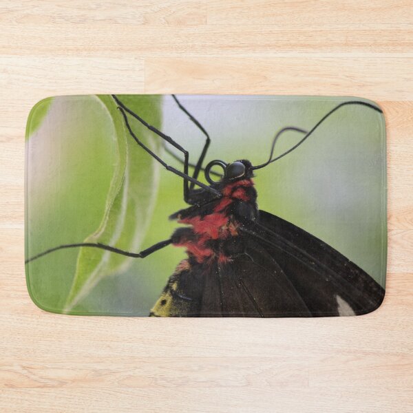 Item preview, Butterfly Beauty designed and sold by Jacquelie.